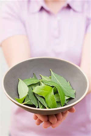A woman holding a bowl of bay leaves Stock Photo - Premium Royalty-Free, Code: 659-06152894
