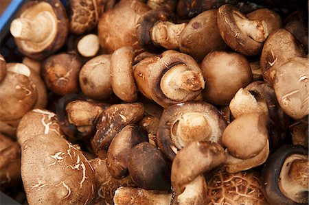 Crimini Mushrooms at a Farmer's Market Foto de stock - Royalty Free Premium, Número: 659-06152979