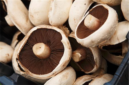 simsearch:659-06152978,k - Champignons portobella dans une caisse au marché de l'agriculteur ; Irlande : Bantry Photographie de stock - Premium Libres de Droits, Code: 659-06152980