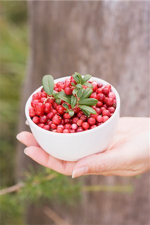 A hand holding a bowl of lingonberries Stock Photo - Premium Royalty-Free, Code: 659-06153015