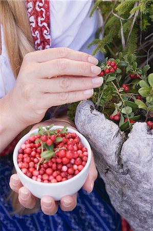 simsearch:659-03529776,k - A woman picking lingonberries Stock Photo - Premium Royalty-Free, Code: 659-06153013