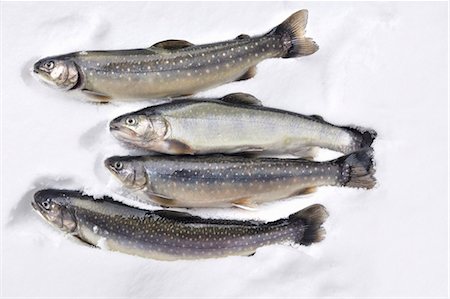 Fresh trout and char Foto de stock - Sin royalties Premium, Código: 659-06153236