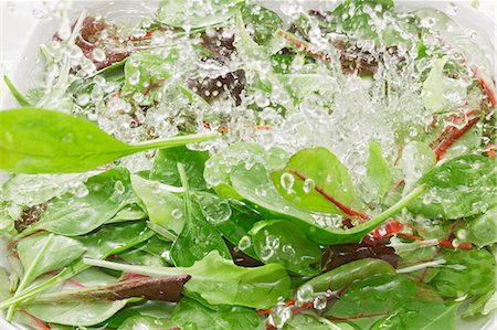 simsearch:659-06153319,k - Green salad and spinach in water Foto de stock - Royalty Free Premium, Número: 659-06153305