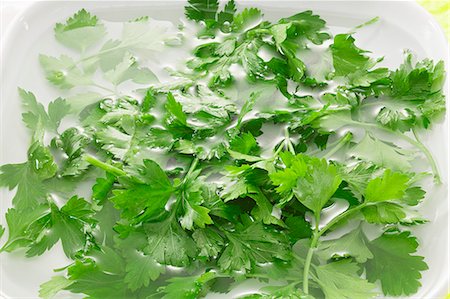flat leaf parsley - Parsley in water Foto de stock - Sin royalties Premium, Código: 659-06153317