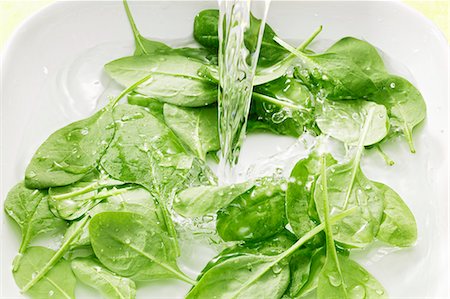 spinach leaf - Spinach in water Stock Photo - Premium Royalty-Free, Code: 659-06153319
