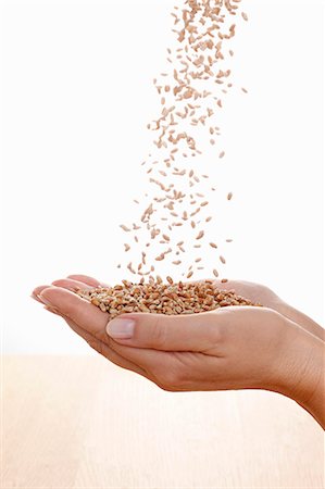 simsearch:659-03523333,k - Wheat flowing into hands Stock Photo - Premium Royalty-Free, Code: 659-06153365