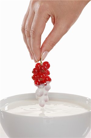 eintunken - Hand dipped red currants in yogurt Foto de stock - Sin royalties Premium, Código: 659-06153371