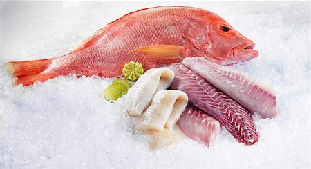 saltwater fish - Whole Red Snapper, Parrot fish fillet and Kingklip fillet Stock Photo - Premium Royalty-Free, Code: 659-06153416