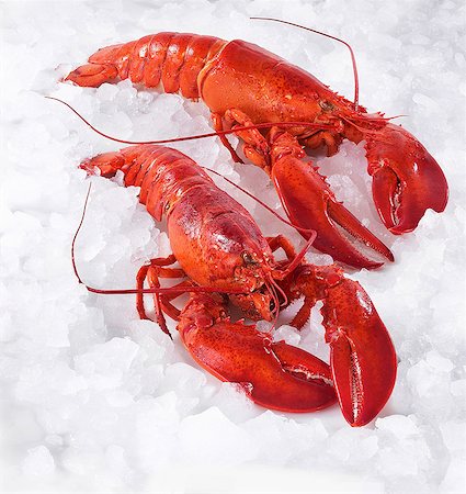 Two cooked lobsters on ice Stock Photo - Premium Royalty-Free, Code: 659-06153418