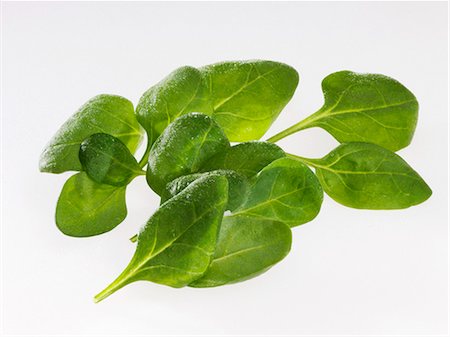 simsearch:659-06902223,k - Fresh spinach Stock Photo - Premium Royalty-Free, Code: 659-06153648