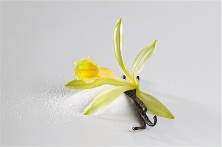 Vanilla blossom, vanilla pod and vanilla sugar Foto de stock - Sin royalties Premium, Código: 659-06153760