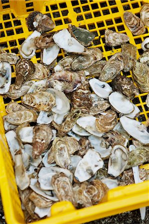 Coquilles d'huîtres dans un carton jaune Photographie de stock - Premium Libres de Droits, Code: 659-06153824