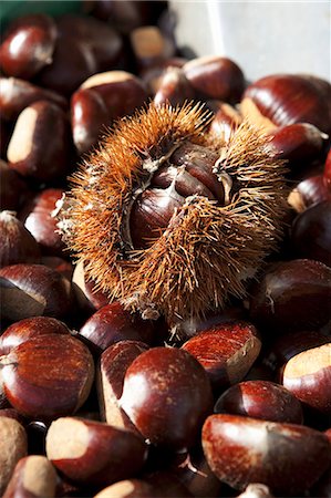 sweet chestnuts - Chestnuts; One Still in Outer Shell Stock Photo - Premium Royalty-Free, Code: 659-06153827