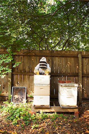 Woman Bee Keeper Foto de stock - Sin royalties Premium, Código: 659-06153908