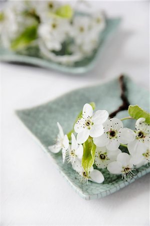 A Sprig of White Spring Flowers on a Green Plate Stock Photo - Premium Royalty-Free, Code: 659-06184016