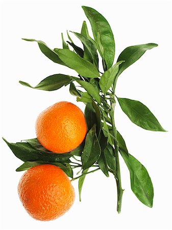 simsearch:659-06152255,k - Mandarin oranges with leaves Foto de stock - Sin royalties Premium, Código: 659-06184402