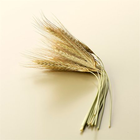 rye - Ears of rye Foto de stock - Sin royalties Premium, Código: 659-06184519