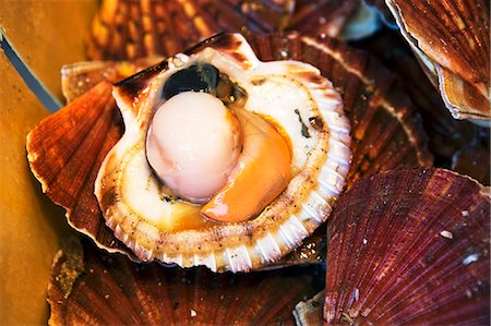 Fresh scallop Foto de stock - Royalty Free Premium, Número: 659-06184530