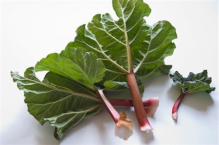 rhubarb - Rhubarbe fraîche Photographie de stock - Premium Libres de Droits, Code: 659-06185151