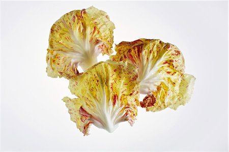 Radicchio di Castelfranco Photographie de stock - Premium Libres de Droits, Code: 659-06185223