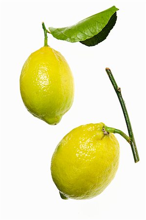 Two lemons with twig and leaf Stock Photo - Premium Royalty-Free, Code: 659-06185395