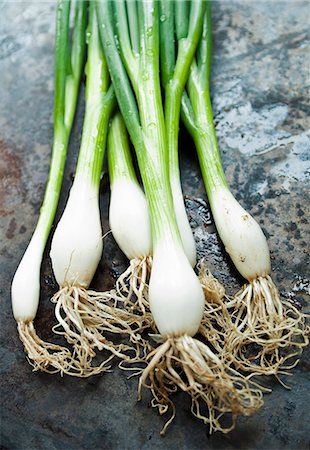 Fresh spring onions Stock Photo - Premium Royalty-Free, Code: 659-06185605