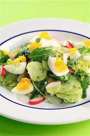 Salade de pommes de terre à la roquette, radis et oeuf Photographie de stock - Premium Libres de Droits, Code: 659-06185706