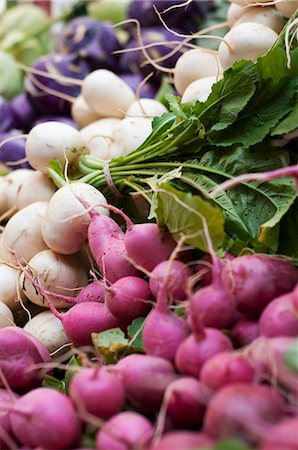 simsearch:659-07959042,k - Radishes and Salad Turnips at the Portland Farmers Market in Monument Square in Portland, Maine Stock Photo - Premium Royalty-Free, Code: 659-06185916