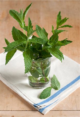 simsearch:659-07068779,k - Fresh Mint from a Maine Garden in a Glass of Water Foto de stock - Sin royalties Premium, Código: 659-06185923