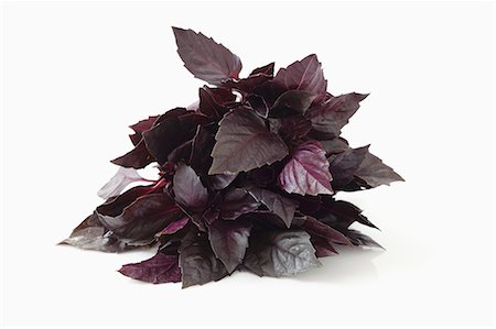 simsearch:659-03537644,k - Fresh purple basil Stock Photo - Premium Royalty-Free, Code: 659-06186275