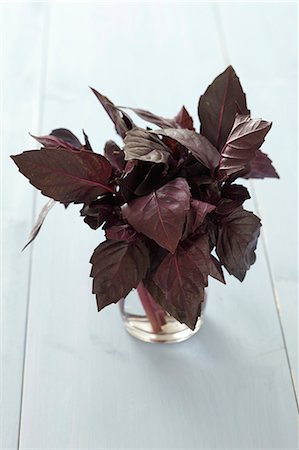 simsearch:659-06151129,k - Basilic pourpre dans un verre d'eau Photographie de stock - Premium Libres de Droits, Code: 659-06186282