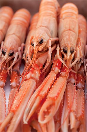 dublin bay prawn - Crayfish Stock Photo - Premium Royalty-Free, Code: 659-06186382