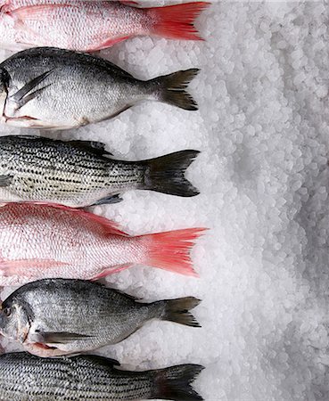 Assorted Whole Fresh Fish on Ice Foto de stock - Sin royalties Premium, Código: 659-06186444