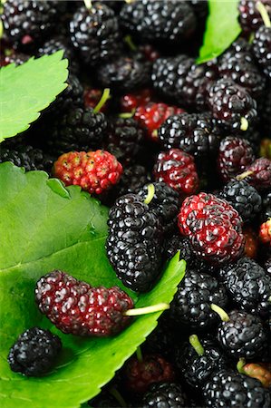 Fresh Mulberries Stock Photo - Premium Royalty-Free, Code: 659-06186546