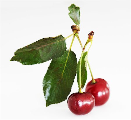 Two cherries with stalk and leaves Foto de stock - Sin royalties Premium, Código: 659-06186635