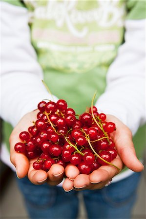 simsearch:659-07958234,k - Freshly picked redcurrants Stock Photo - Premium Royalty-Free, Code: 659-06186860