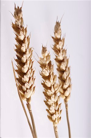 simsearch:659-03532026,k - Three ears of wheat Foto de stock - Sin royalties Premium, Código: 659-06186898