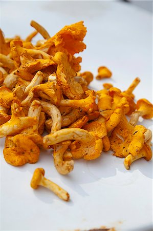 Fresh chanterelles, close-up Foto de stock - Sin royalties Premium, Código: 659-06187049