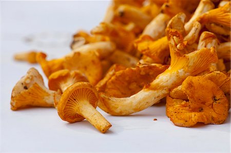 simsearch:659-06903255,k - Chanterelles fraîches, gros plan Photographie de stock - Premium Libres de Droits, Code: 659-06187050