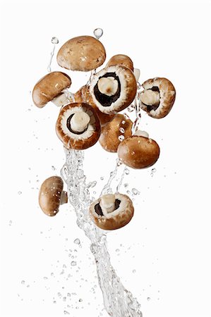 simsearch:659-06494071,k - Brown mushrooms and a splash of water Stock Photo - Premium Royalty-Free, Code: 659-06187092