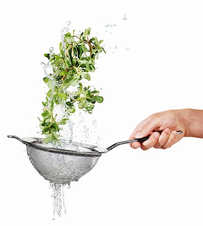 simsearch:659-06187109,k - Washing purslane in a colander Foto de stock - Sin royalties Premium, Código: 659-06187127