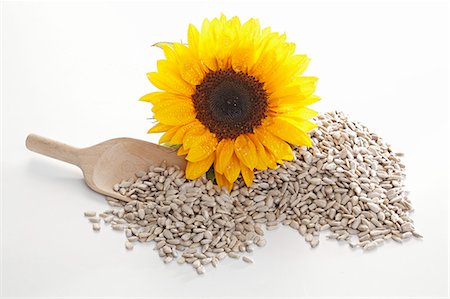 simsearch:659-07027031,k - Sunflower seeds, wooden scoop and sunflower Stock Photo - Premium Royalty-Free, Code: 659-06187137