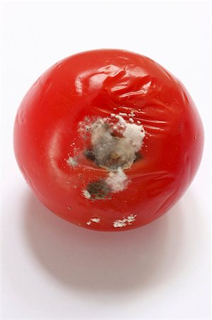 fruit vegetable - A mouldy tomato seen from above Stock Photo - Premium Royalty-Free, Code: 659-06187218