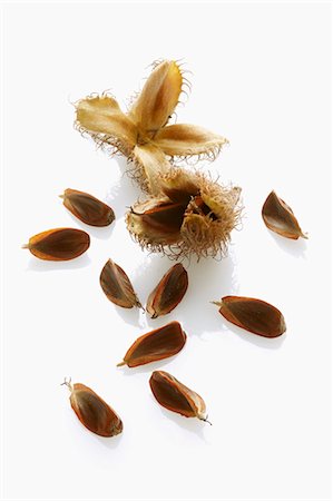 Beech nuts with and without shells Stock Photo - Premium Royalty-Free, Code: 659-06187225