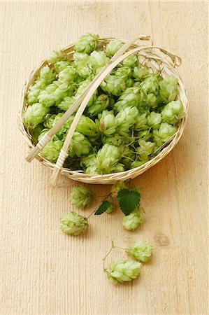 fresh hops - Hops umbels in a basket Foto de stock - Sin royalties Premium, Código: 659-06187247