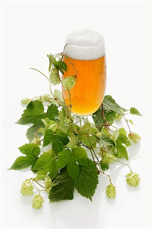 A glass of beer and a hops umbel Stock Photo - Premium Royalty-Free, Code: 659-06187251