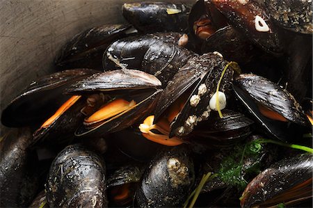 simsearch:659-03534608,k - Steamed Irish mussels Fotografie stock - Premium Royalty-Free, Codice: 659-06187378