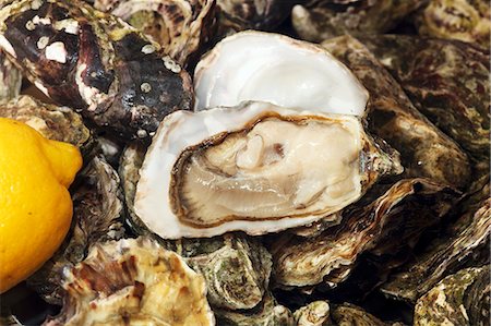 raw oyster - Fresh Irish oysters with lemon (close-up) Stock Photo - Premium Royalty-Free, Code: 659-06187385