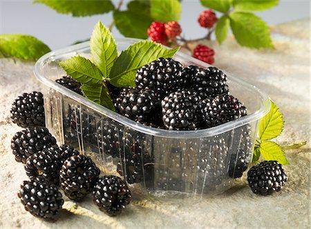 Blackberries in plastic container Foto de stock - Sin royalties Premium, Código: 659-06187544