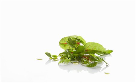 simsearch:659-07599069,k - Fresh lettuce leaves against white background Foto de stock - Sin royalties Premium, Código: 659-06187826